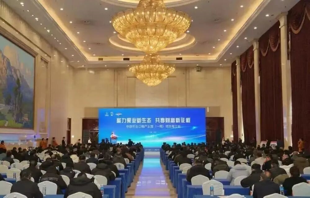 中原农谷江楠产业园（一期）项目推介会圆满举办
