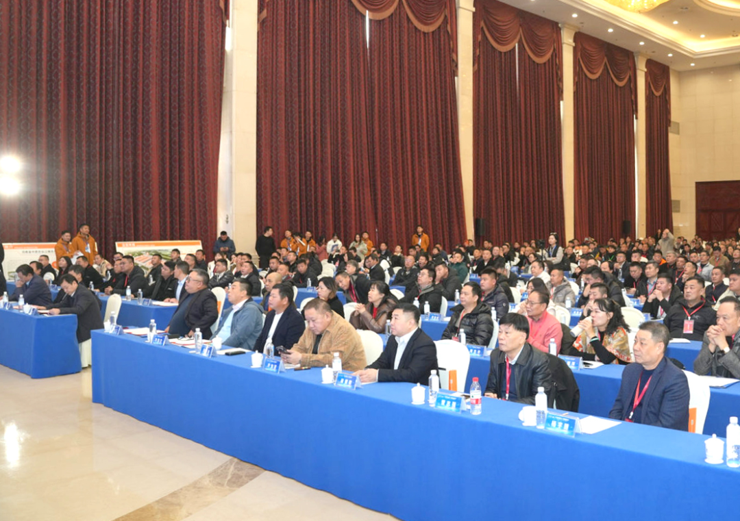 中原农谷江楠产业园推介会现场