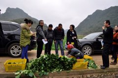 广州江楠集团赴贵州多地考察调研